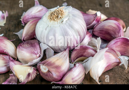 Ganze lila Knoblauch Zwiebel und Knoblauchzehen auf einem Holz- Oberfläche Stockfoto