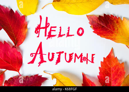 Hallo Herbst Kalligraphie Hinweis mit Laub auf weißem Papier Stockfoto