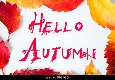 Hallo Herbst Kalligraphie Hinweis mit Laub auf weißem Papier Stockfoto