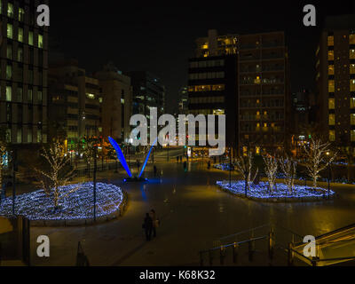 Nara, Japan - 26. Juli 2017: Schöne Aussicht auf die Straße, mit einigen Bäumen mit Christmas Lights in der Stadt Tokio Stockfoto