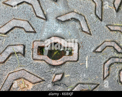 Metall Gitter loch Textur im Abwasserkanal top; England; UK Stockfoto