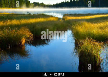 Ein Landschaftsbild von Maxwell See in Hinton Alberta mit Nebel auf dem Wasser und Gras, das Gelb des Herbstes Stockfoto