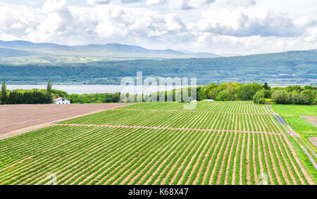 Panorama oder Panoramablick Luftaufnahme von Ackerland in Ile d'Orleans, Quebec, Kanada, gepflügten Feldes, Furchen, Land, Bauernhof, Haus, Scheune, Schuppen, Saint Lawrence r Stockfoto