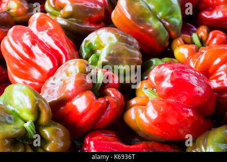 Türkische Paprika - Hot! Stockfoto