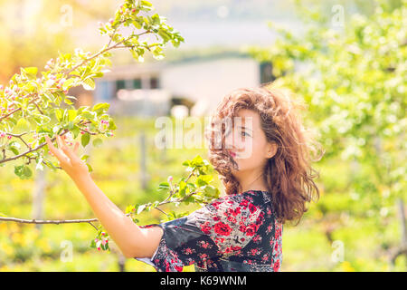 Porträt der jungen Frau berühren Apfelblüte auf Niederlassung im Frühjahr Obstgarten bei Sonnenuntergang mit weichem Licht oder Sonnenlicht auf Bauernhof in der Landschaft Garde Stockfoto