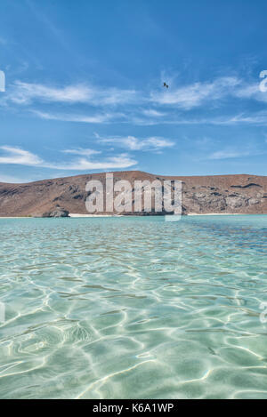 Balandra Strand, La Paz, Meer von Cortes Baja California Sur. Mexiko Stockfoto