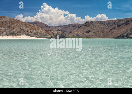 Balandra Strand, La Paz, Meer von Cortes Baja California Sur. Mexiko Stockfoto
