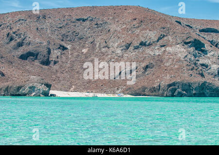 Balandra Strand, La Paz, Meer von Cortes Baja California Sur. Mexiko Stockfoto