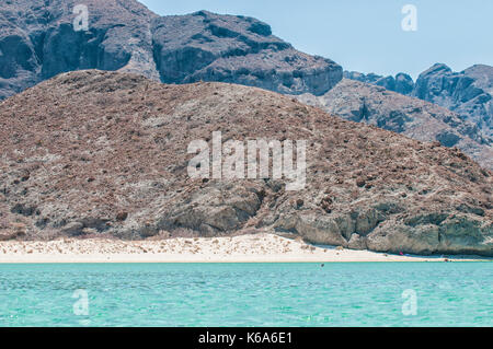 Balandra Strand, La Paz, Meer von Cortes Baja California Sur. Mexiko Stockfoto