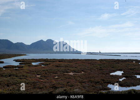 Las Salinas de Cabo de Gata Feuchtgebiete, Cabo de Gata-Níjar Naturparks, Provinz Almeria, Spanien Stockfoto