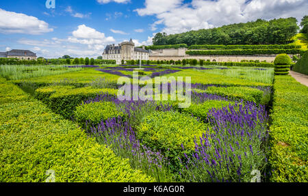 Frankreich, Indre-et-Loire, Château de Villandry, Blick auf den Kräutergarten Stockfoto