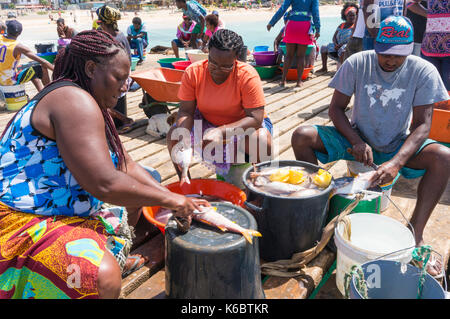 Kap Verde SAL einheimischen Skalierung und Ausnehmen frisch gefangenen Fisch auf der hölzernen Pier in Santa Maria Insel Sal Kapverden Afrika Stockfoto