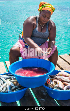 Kap VERDE-SAL lokale Frau Skalierung und einen frisch gefangenen Fisch auf dem hölzernen Pier in Santa Maria Insel Sal Kapverden Afrika ausnehmen Stockfoto