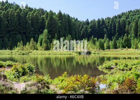 Lagoa das Empadadas in Wald, Sao Miguel, Azoren, Portugal, Europa Stockfoto