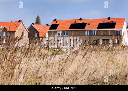 Sonnenkollektoren auf dem Dach der neuen Häuser in den Niederlanden Stockfoto