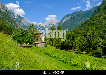 Landschaft mit Wiesen, Feldern, einem Bauern Haus, Bäume und Berge Soča-Tal im Triglav National Park Stockfoto