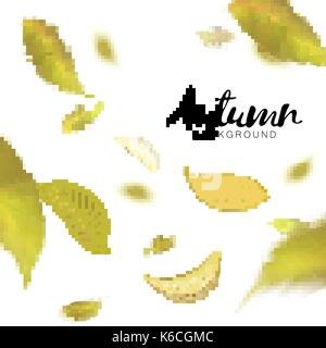 Fallende Blätter im Herbst auf weißem Hintergrund. Vektor Stock Vektor