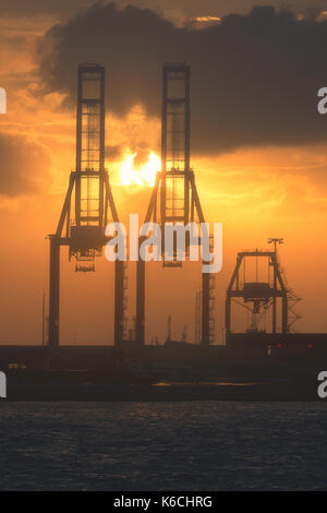 Kräne im Hafen bei Sonnenuntergang Stockfoto
