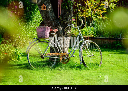 Alte Vintage Fahrrad lehnte sich gegen Obst Baum im Garten. Stockfoto