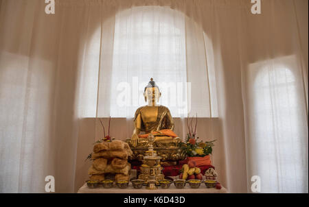 Angebote können im Tibet House in Frankfurt gesehen werden am Main, Deutschland, 12. September 2017. Der Dalai Lama sagte seine Teilnahme an der Eröffnung der Tibet House. Foto: Boris Roessler/dpa Stockfoto