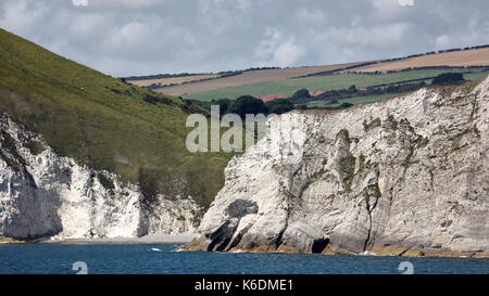 Weiß erodieren Kreidefelsen Struktur aus Mupe Bucht auf der linken Seite, durch Arish Mell und in Richtung Worbarrow auf der Jurassic Coast, Dorset UK Stockfoto