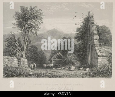 Cader Idris aus Kymmer Abtei Stockfoto