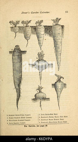 Dreer's Garten Kalender (16861357767) Stockfoto