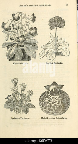 Dreer's Garten Kalender (16223930753) Stockfoto
