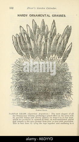 Dreer's Garten Kalender (16256174348) Stockfoto