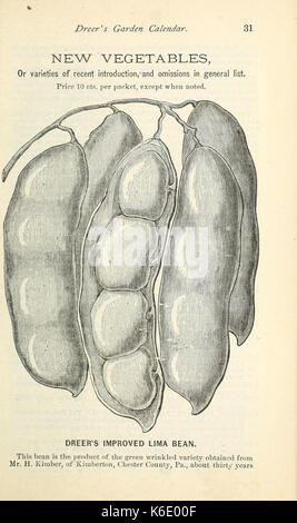 Dreer's Garten Kalender (15823725843) Stockfoto