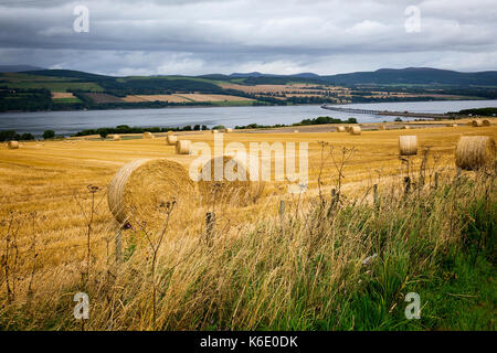 Die Cromarty Bridge, Cromarty Firth, Schottland Stockfoto