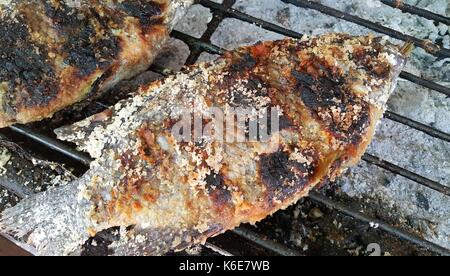 Der verbrannten Haut Salz verkrustet gegrillte Tilapia-fisch auf Holzkohle Grill, Street Food in Thailand Stockfoto