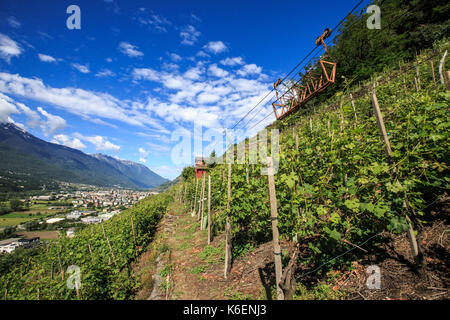 Die Weinberge rund um Schloss Grumello Montagna im Veltlin Sondrio Lombardei Italien Stockfoto