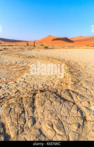 Ausgetrockneten Boden und tot Akazie, umgeben von Sanddünen Deadvlei Sossusvlei Wüste Namib Naukluft Nationalpark Namibia Afrika Stockfoto