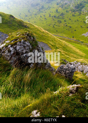 Blick über Cressbrook Dale eine Art Reserve und beliebtes Wandergebiet im Peak District National Park Derbyshire Dales England Großbritannien Stockfoto