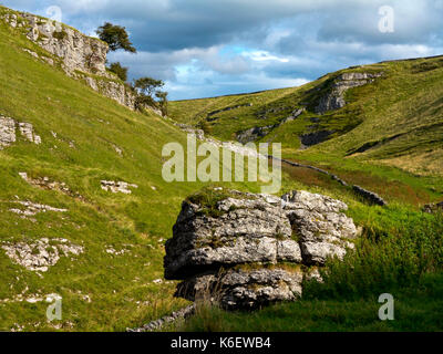 Blick über Cressbrook Dale eine Art Reserve und beliebtes Wandergebiet im Peak District National Park Derbyshire Dales England Großbritannien Stockfoto