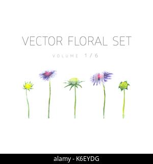 Helle aquarell Set von Vektor Blumen mit Blatt Stock Vektor