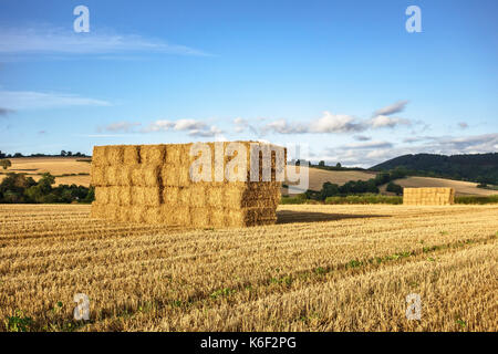 Herefordshire, UK. Platz Strohballen in einen Drei-tage-Feld gestapelt nach der Ernte im Spätsommer Stockfoto