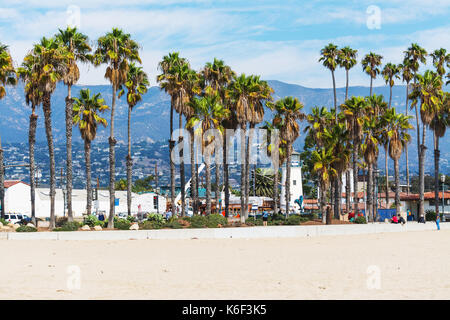 Palmen in Santa Barbara, Kalifornien, USA, direkt am Meer. Stockfoto