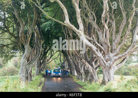 Die dunklen Hecken auf Bregagh Rd, Ballymoney, Antrim, Nordirland, eine Allee von zweihundert Jahre alte Buche in der HBO-TV-Serie in der Nähe von grac gesehen Stockfoto