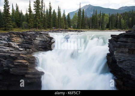 Athabasca Falls in Jasper National Park, Alberta, Kanada Stockfoto