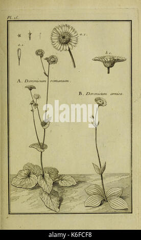 Beschreibung, vertus et usages de sept Cent dix neuf Plantes (10609932285) Stockfoto