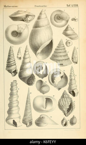 Die Klassen und Ordnungen des Thier Reichs (9390782615) Stockfoto