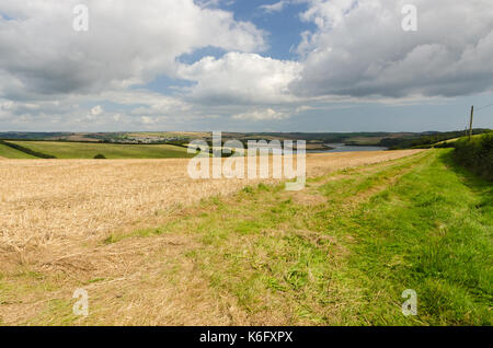 Vor kurzem abgeernteten Feldern in Batson, Salcombe Stockfoto