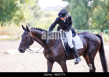 Junge elegante rider Frau ihre Bucht Pferd tappen nach Dressur Test auf Pferderennen Stockfoto