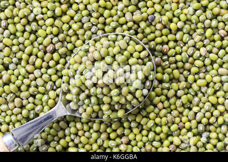 Grüne Bohnen Samen in einem silbernen Löffel auf Bohnen-Hintergrund. Stockfoto