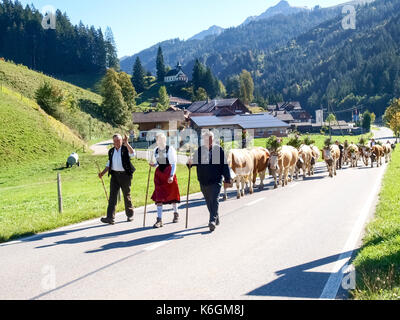 Berner Oberland, Schweiz - Oktober 4, 2016: wanderimkerei mit traditionellen Kleider mit Kühe mit Glocken und Blumen dekoriert. Stockfoto