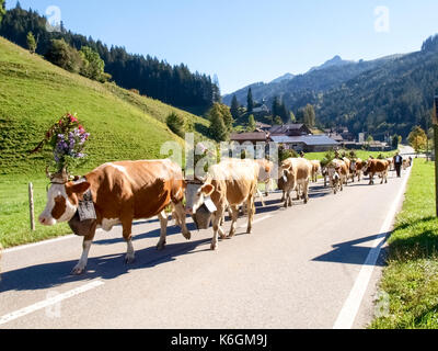 Berner Oberland, Schweiz - Oktober 4, 2016: wanderimkerei mit traditionellen Kleider mit Kühe mit Glocken und Blumen dekoriert. Stockfoto