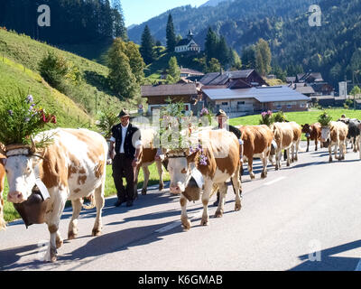 Berner Oberland, Schweiz - Oktober 4, 2016: wanderimkerei mit traditionellen Kleider mit Kühe mit Glocken und Blumen dekoriert. Stockfoto