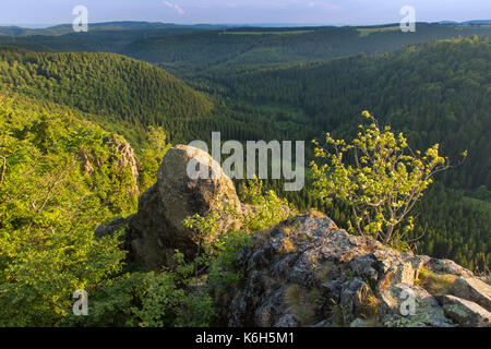 Hahnenkleeklippen/Hahnenklee Crags am oberen Harz / Oberharz im Nationalpark Harz, Niedersachsen, Deutschland Stockfoto